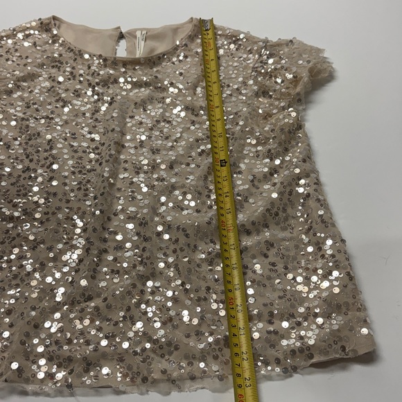 Anthropologie woman’s Sequin Beige Blouse - Picture 5 of 9